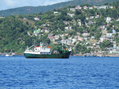 Roseau